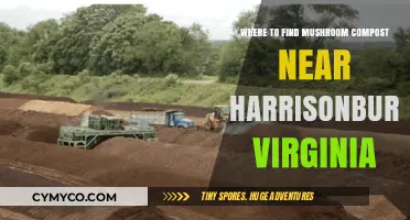 Discover Local Sources for Mushroom Compost in Harrisonburg, VA