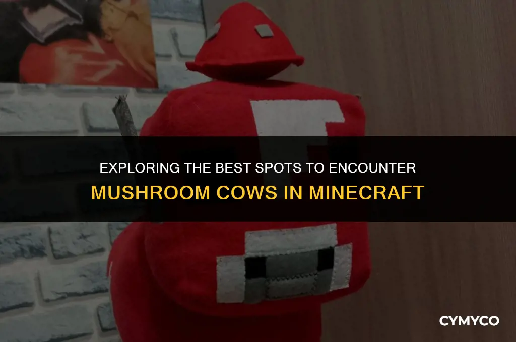 where to find mushroom cows