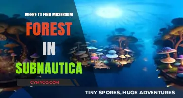 Exploring Subnautica: Discovering the Enchanting Mushroom Forest