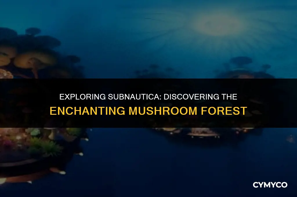 where to find mushroom forest in subnautica