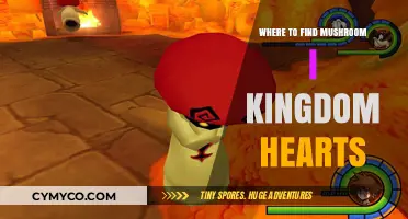 Exploring the Mushroom Kingdom in Kingdom Hearts: A Guide