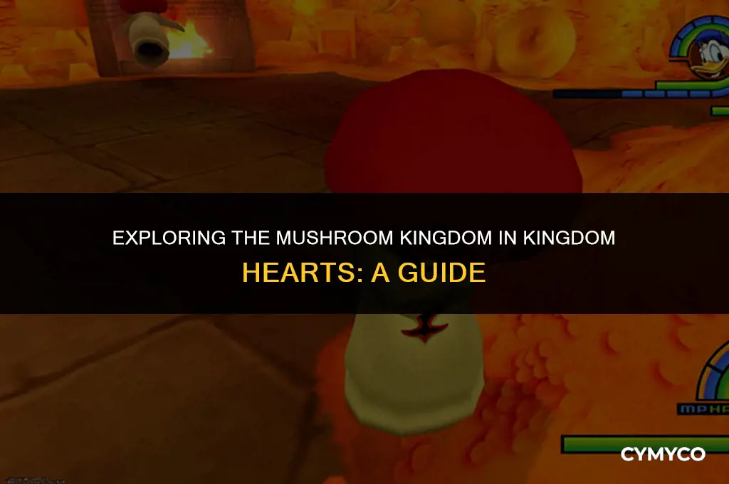 where to find mushroom i kingdom hearts