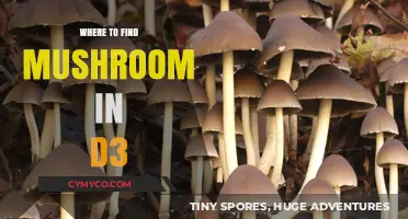 Exploring the Best Spots for Mushroom Hunting in Diablo 3
