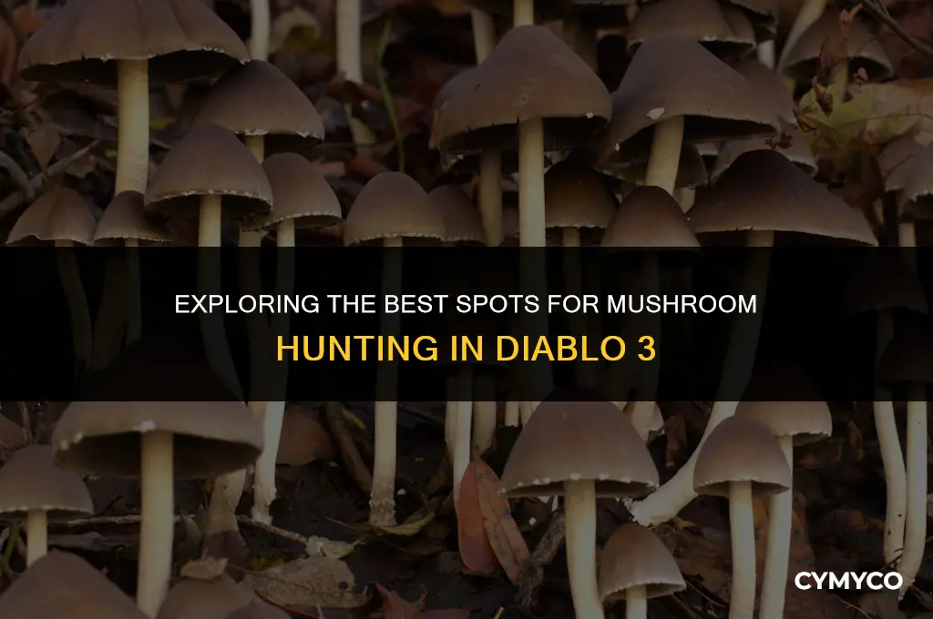where to find mushroom in d3