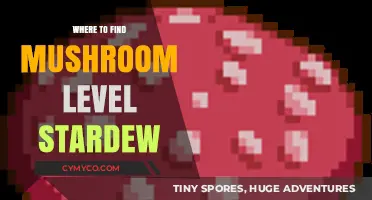 Exploring Stardew Valley: Mushroom Level Secrets Revealed