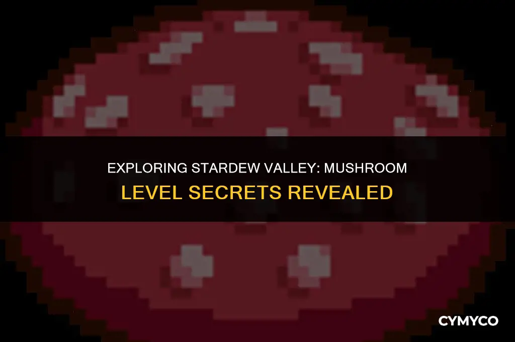 where to find mushroom level stardew