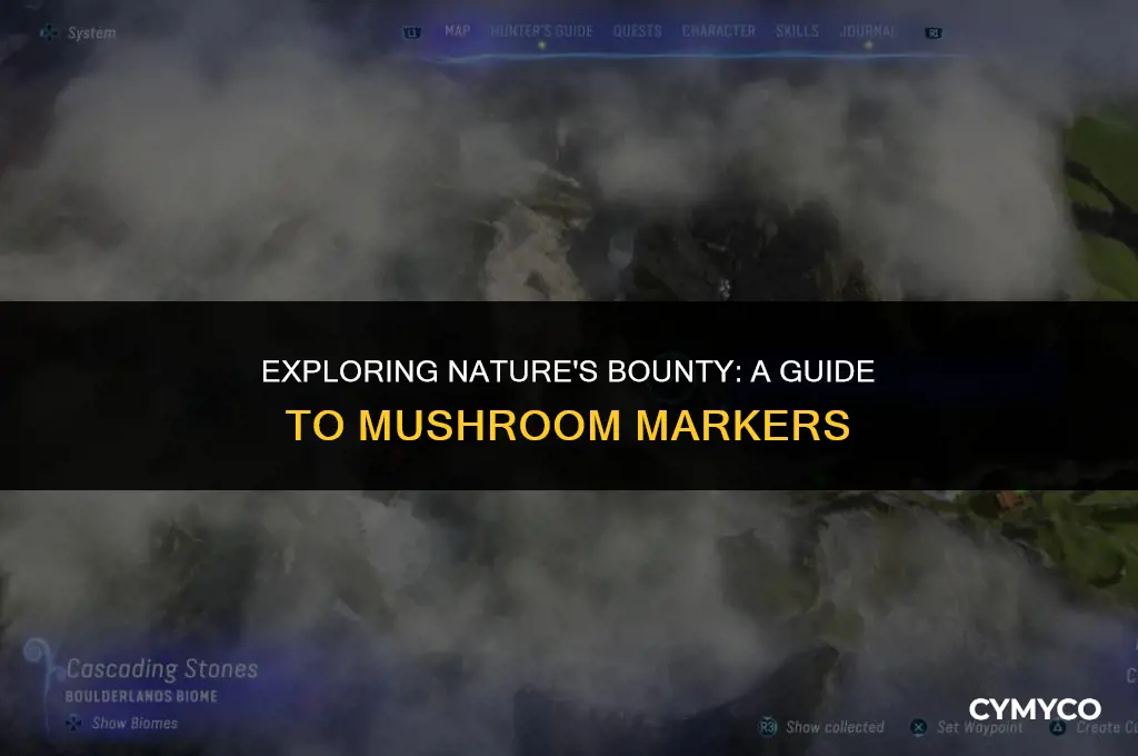 where to find mushroom marker