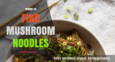 Exploring the Best Spots for Mushroom Noodles: A Foodie's Guide