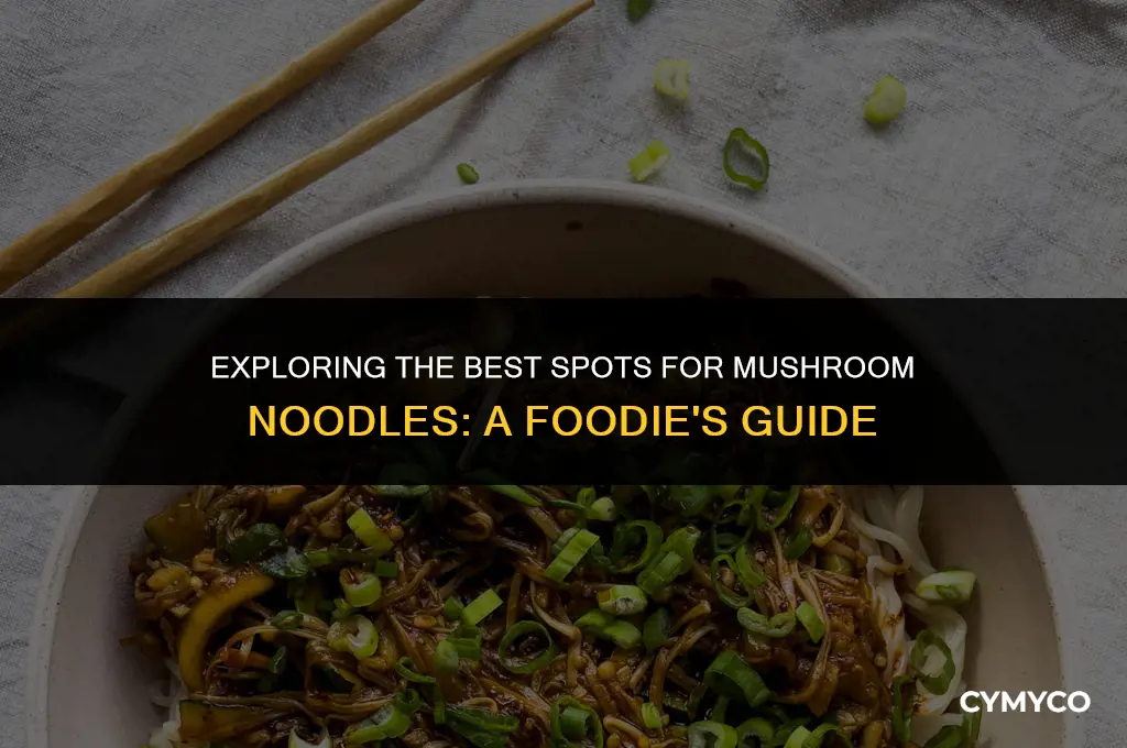 where to find mushroom noodles