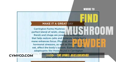 Exploring the Best Sources for High-Quality Mushroom Powder