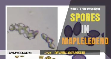 Exploring MapleLegends: A Guide to Mushroom Spore Locations