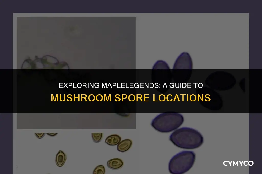 where to find mushroom spores in maplelegends