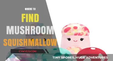 Discover the Best Spots to Find Your Dream Mushroom Squishmallow