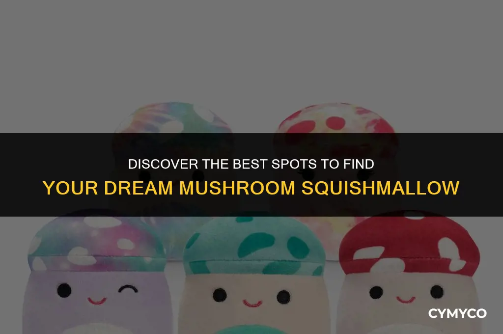 where to find mushroom squishmallow