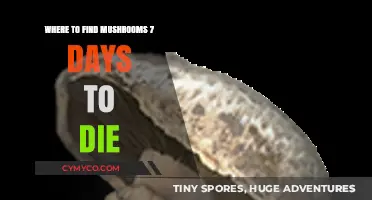 Mushroom Hunting in 7 Days to Die: A Comprehensive Guide
