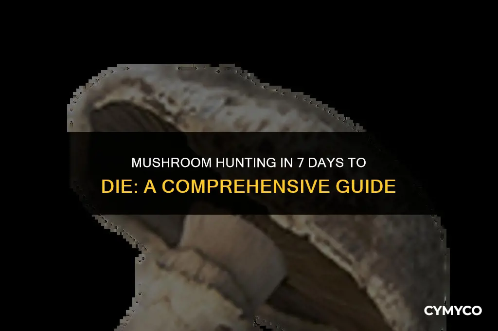 where to find mushrooms 7 days to die