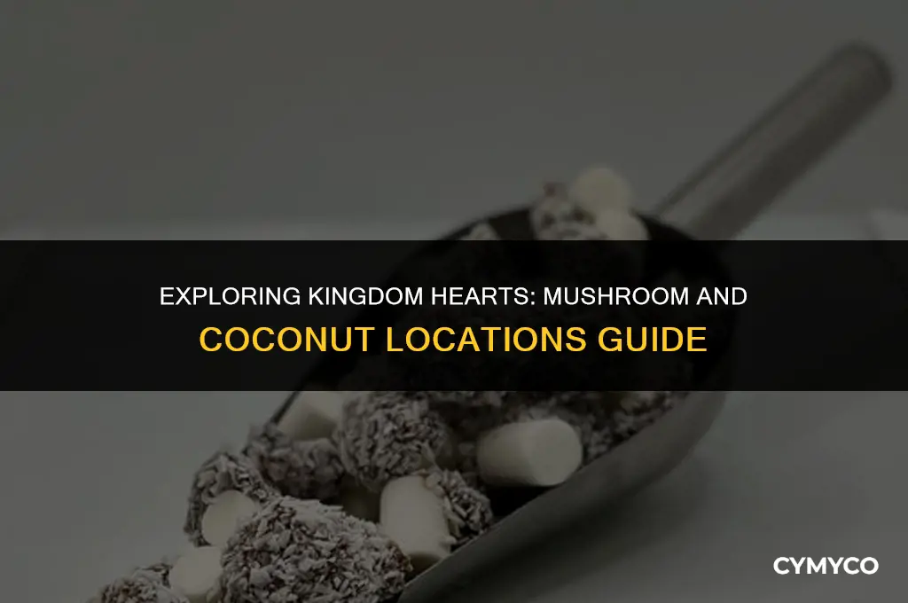 where to find mushrooms and coconuts in kingdom hearts