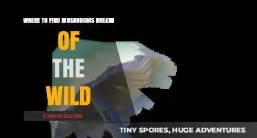 Exploring Hyrule: Top Spots for Mushroom Hunting in Breath of the Wild