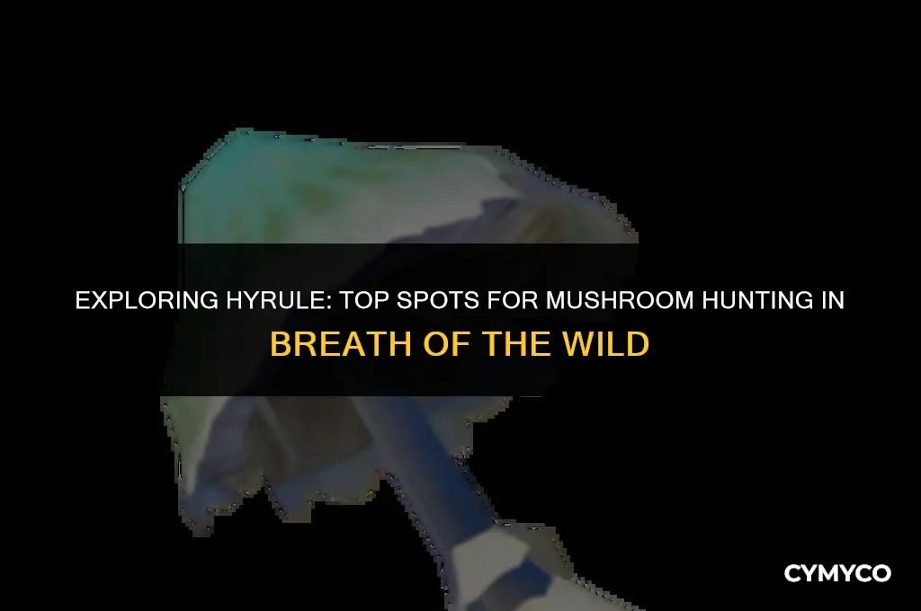 where to find mushrooms breath of the wild