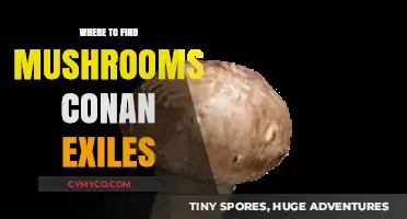 Exploring the Best Spots for Mushroom Hunting in Conan Exiles