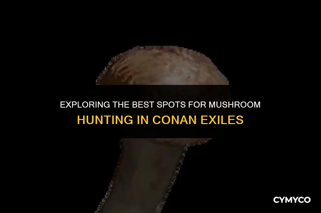 where to find mushrooms conan exiles