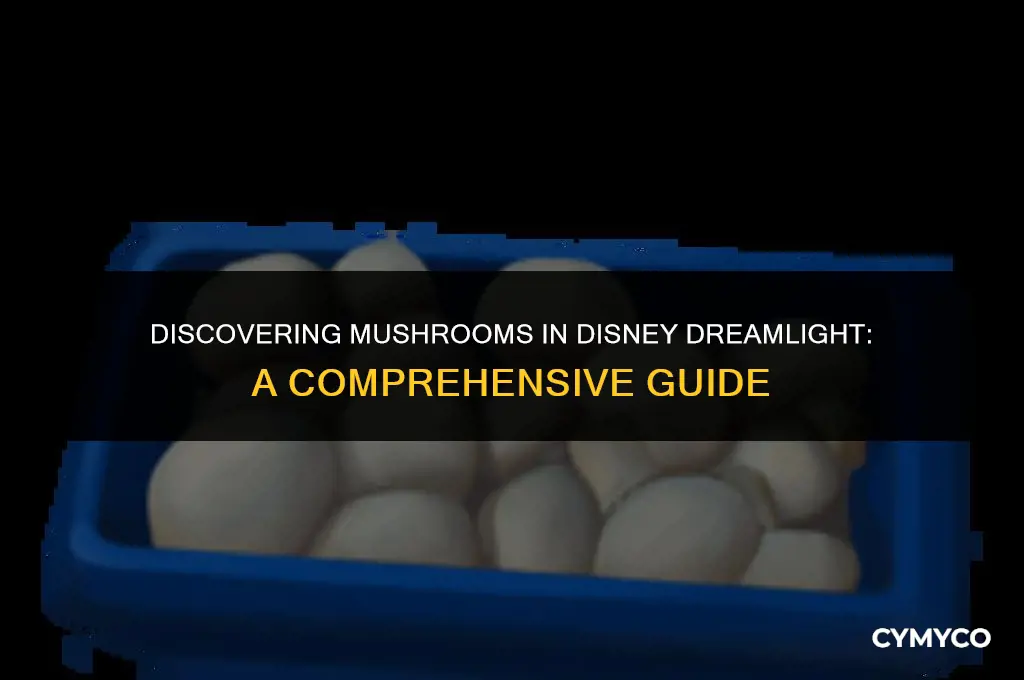 where to find mushrooms disney dreamlight