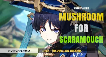 Exploring Nature's Bounty: Foraging Mushrooms for Scaramouche
