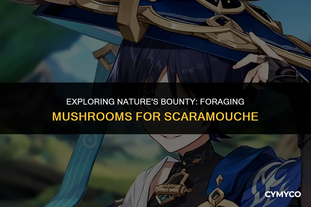 where to find mushrooms for scaramouche