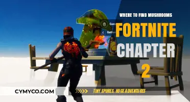 Exploring Fortnite Chapter 2: Mushroom Locations Guide