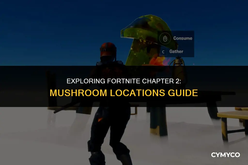 where to find mushrooms fortnite chapter 2
