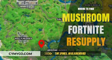Exploring Fortnite: Top Spots for Mushroom Resupply