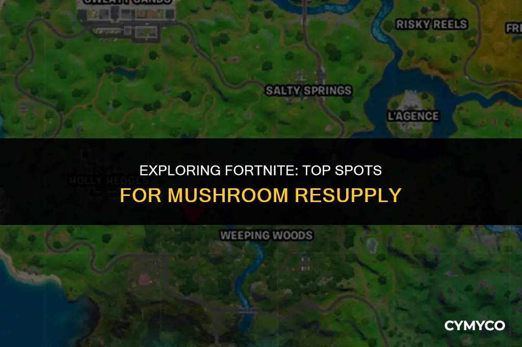 where to find mushrooms fortnite resupply