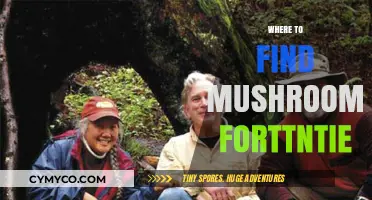 Exploring Nature's Bounty: A Guide to Foraging Wild Mushrooms Safely