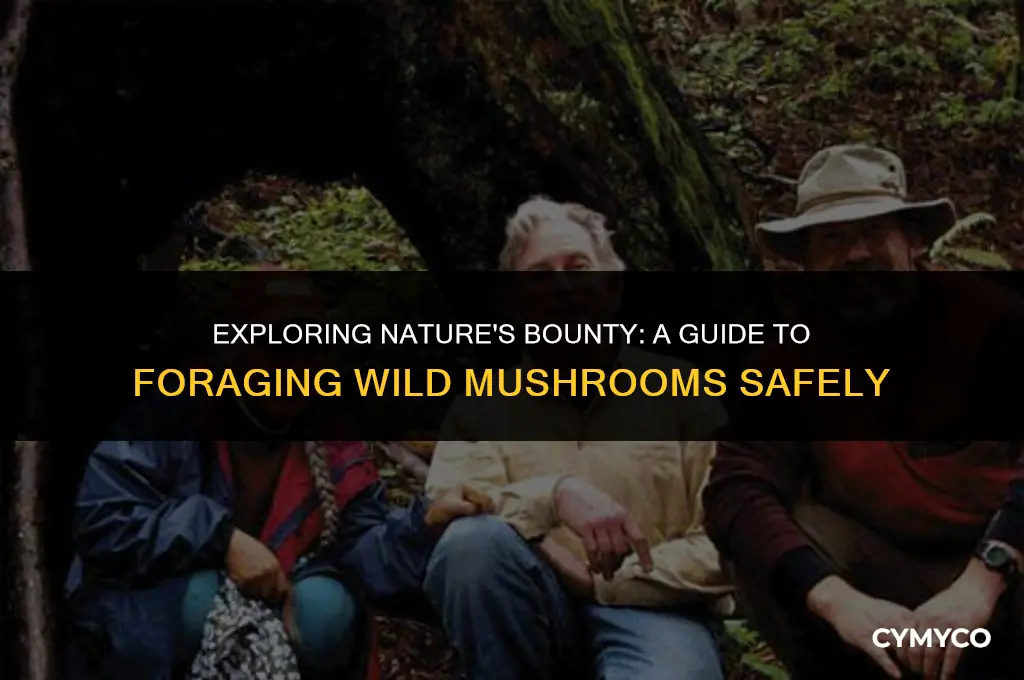where to find mushrooms forttntie