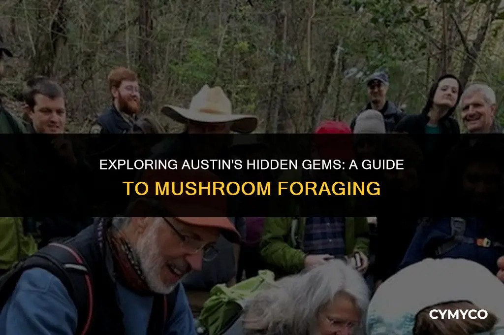 where to find mushrooms in austin