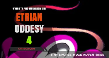 Exploring the Best Mushroom Spots in Etrian Odyssey 4