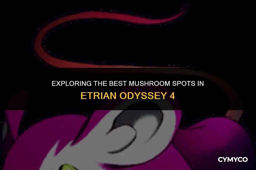 where to find mushrooms in etrian oddesy 4