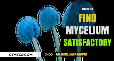 Discover Mycelium in Satisfactory: Top Locations for Efficient Farming