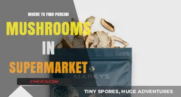 Discovering Porcini Mushrooms: A Supermarket Guide