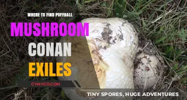 Exploring Conan Exiles: A Guide to Puffball Mushroom Locations