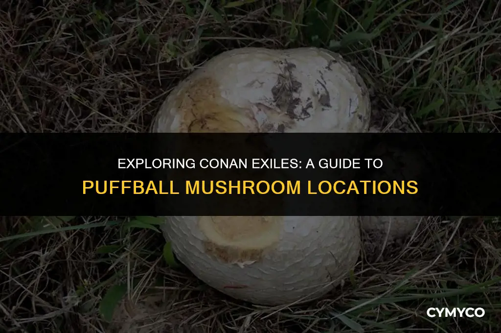 where to find puffball mushroom conan exiles
