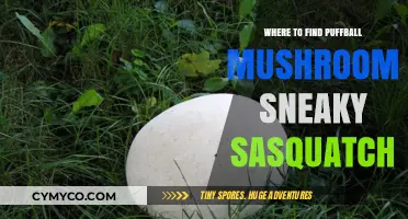 Exploring the Wilderness: Puffball Mushrooms and Elusive Sasquatch Sightings
