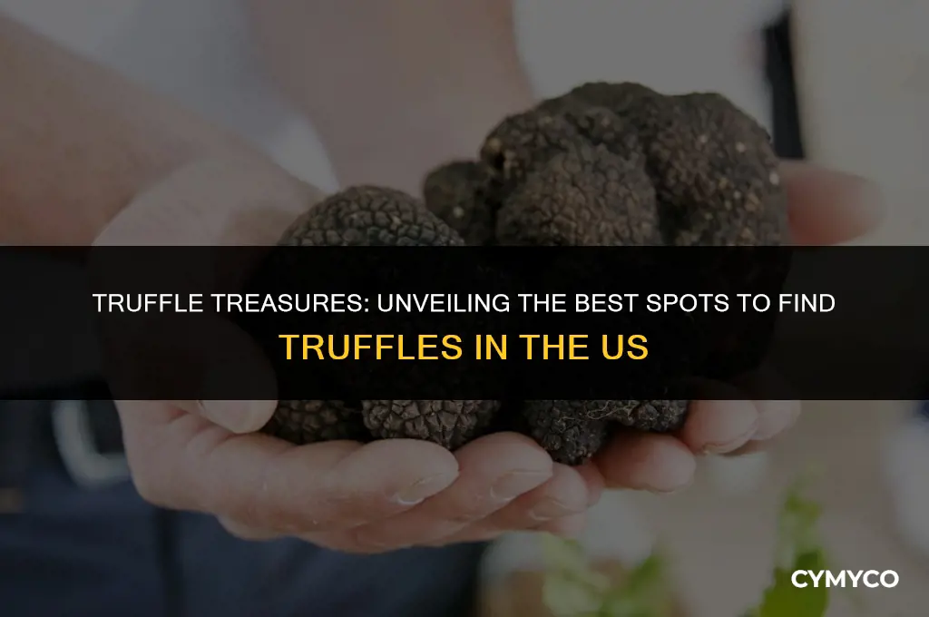 where to find truffles in the us