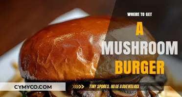 Savor the Flavor: Top Spots for Mushroom Burgers Near You