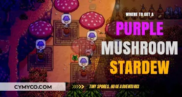 Discovering the Elusive Purple Mushroom in Stardew Valley