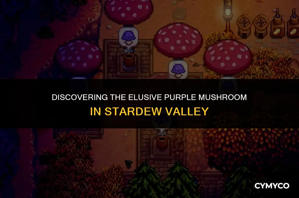 where to get a purple mushroom stardew