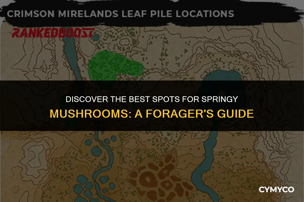 where to get a springy mushroom
