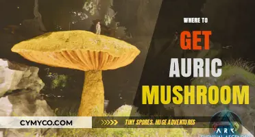 Exploring the Best Sources for Auric Mushrooms: A Comprehensive Guide