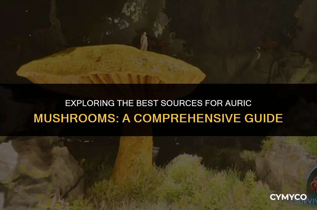 where to get auric mushrooms