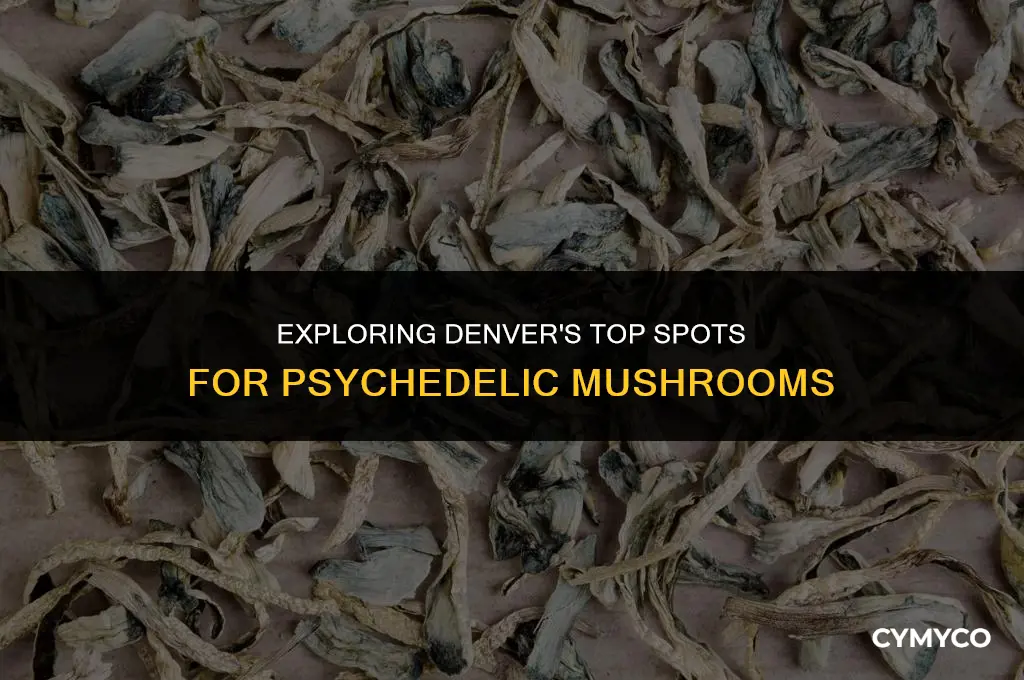 where to get best psylicybin mushrooms in denver co